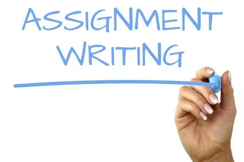 Student using an online assignment work platform on a laptop for academic support in 2024